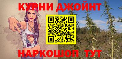 сатива Чебоксары