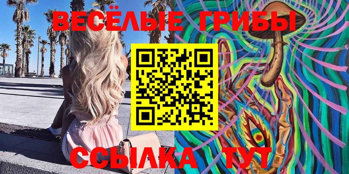 Галлюциногенные грибы MAGIC MUSHROOMS  Вход с VPN  Нововоронеж 
