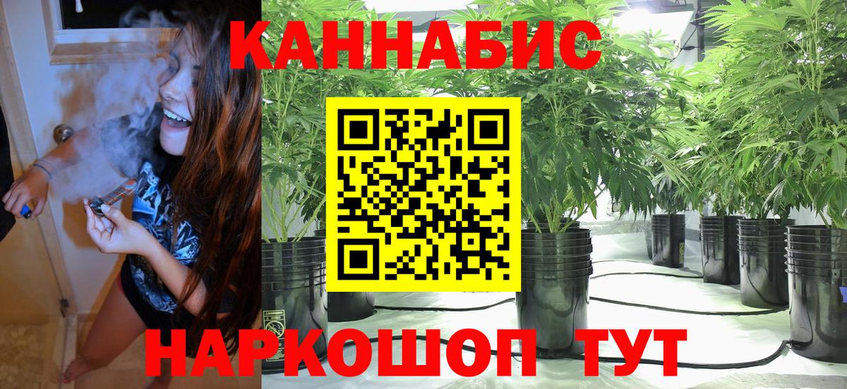 Шишки марихуана OG Kush  Бошки Шишки сатива  Нововоронеж  Вход с VPN 